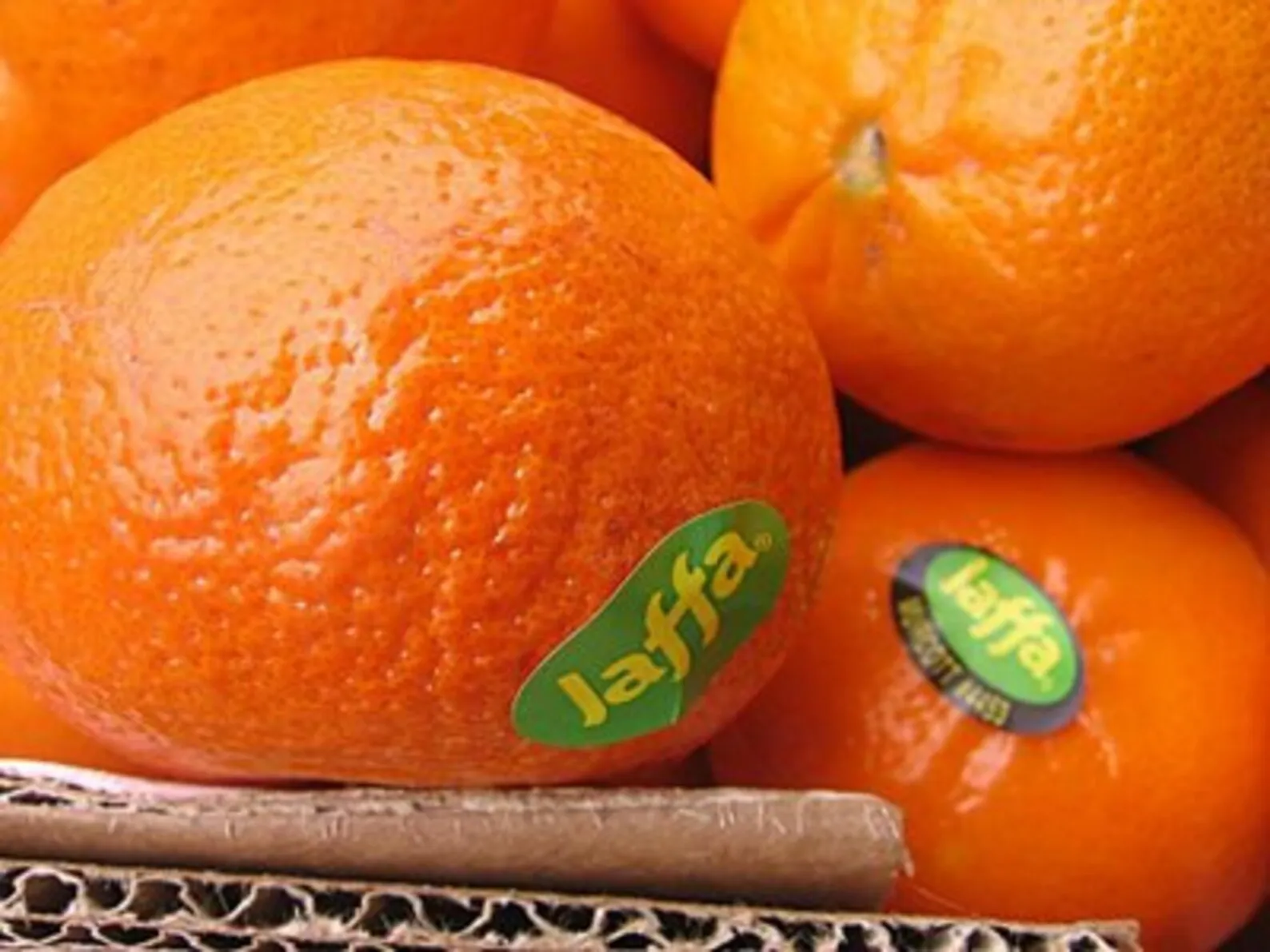 Jaffa Oranges