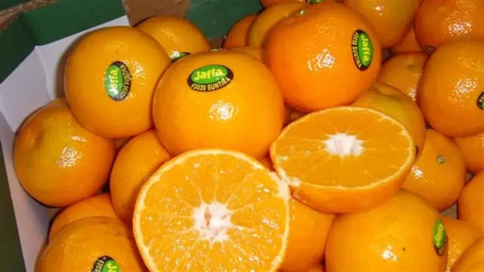Jaffa Oranges